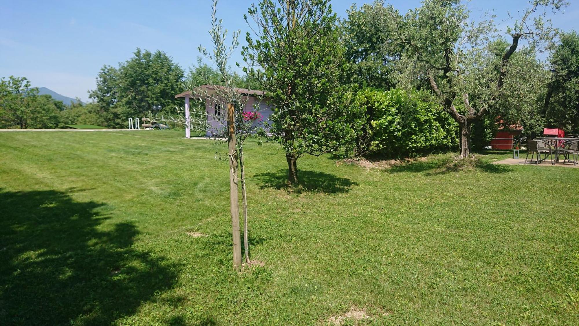 Apartament Il Carpino Bianco Bilocale Puegnago Pokój zdjęcie